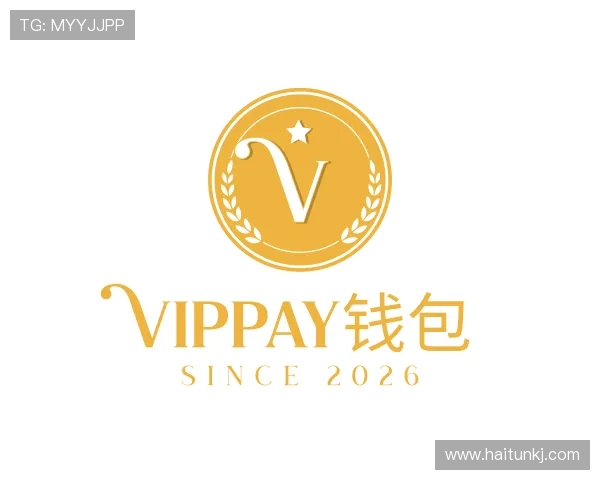 介绍VipPay钱包